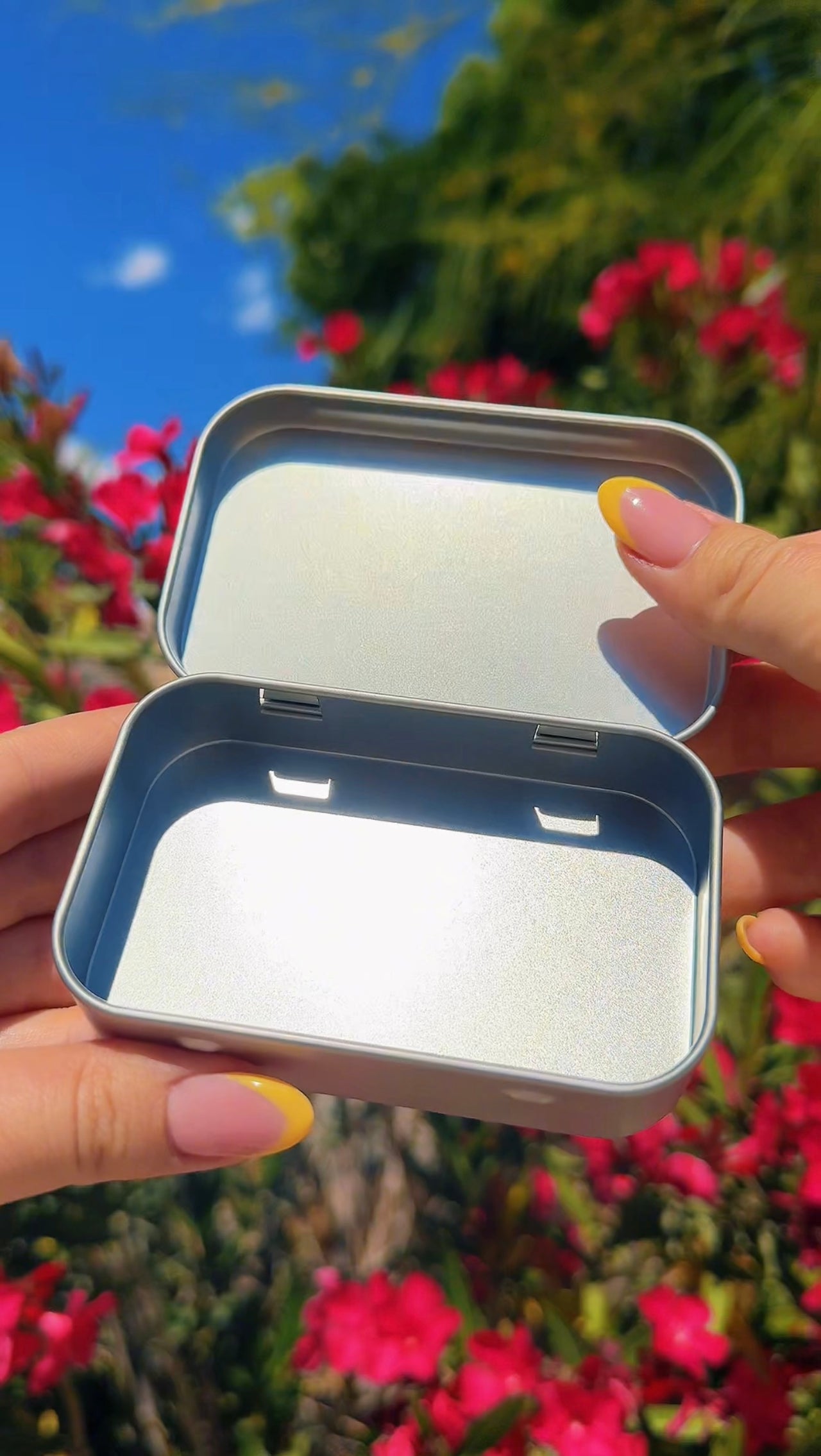 Sardines Tin